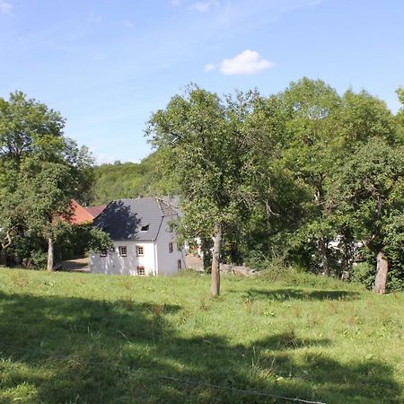 Ferienhaus Sprink Vulkaneifel Villa Strohn Buitenkant foto